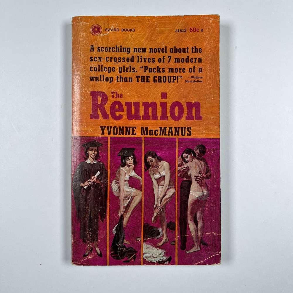 The Reunion Yvonne MacManus Paperback Vintage Lesbian Pulp